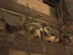 Medium hand-held - Skulls hang from a pole in a wooden hut. / Indonesia Stock Footage