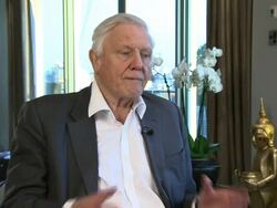 INTERVIEW: Sir David Attenborough on how technology has changed over the years at Sir David Attenborough Interview at Mayfair Exchange on December 11, 2012 in London, England.  Stock Footage