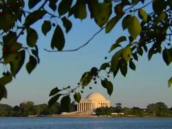 HD Jefferson Memorial TiltDown_3 (1080/24P) Stock Footage