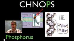 Biogeochemical Cycling Instructional Video