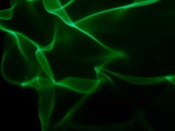 soft shape Stock Footage