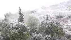 Snow Fall Stock Footage