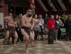 Mid shot of Maori warriors performing. New Zealand Stock Footage