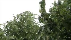 squall weather Stock Footage