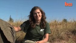 Cute Baby Elephant Orphans Raised By British Students Instructional Video