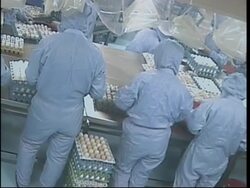 World Bank comment on fund to fight bird flu News Clip