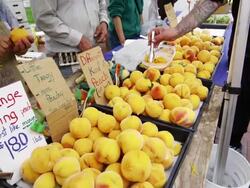 San Francisco peaches Stock Footage