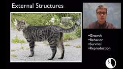 LS1A - Structure and Function Instructional Video