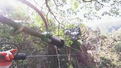Zip line Adventure Stock Footage