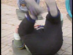 China - Obesity News Clip