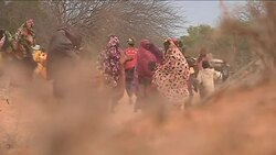 Somalis cross border as they head towards refugee camps in Kenya News Clip