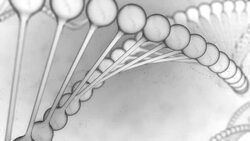 DNA String on White Background Stock Footage