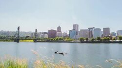 Portland City Stock Footage