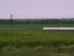 Static shot of corn field and buildings. Stock Footage