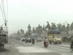 Traffic drives on highway lined with damaged trees from ash fallout from Merapi volcano eruption; Indonesia. 7 November 2010 / AUDIO Stock Footage
