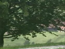 Mauthausen concentration camp memorials Stock Footage