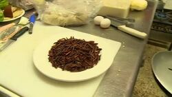 VOICED : Insects for lunch instead of fast food News Clip