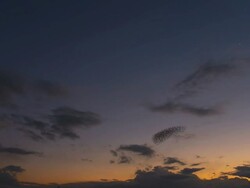 MS T/L Flock of starlings displaying murmuration against sunset sky / Judea, Israel Stock Footage