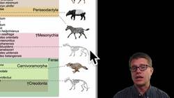 Ecosystem Diversity Instructional Video