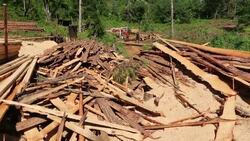 Logging on the Zomba Plateau in malawi, a land that has been heavily deforested to supply timber for making charcoal. Stock Footage