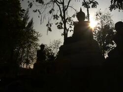 Buddha statue on sunset Stock Footage