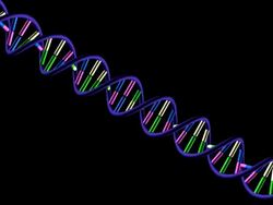 Telomere Part 1- With RGB +Alpha Channel Stock Footage