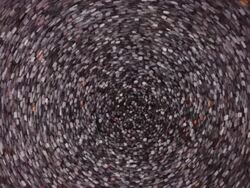 Poppy seeds background Stock Footage