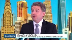 Why RBC's Golub Thinks We Are in a Low-Yield Environment News Clip