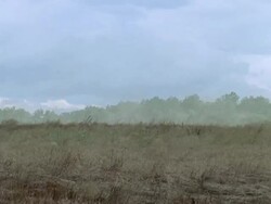 WS Wind blowing over grass plains / Guanacaste, Costa Rica Stock Footage