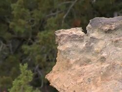 Picketwire Canyonlands Stock Footage