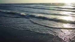 Golden hour on Padre Island Beach during amazing sunrise over the Ocean Stock Footage
