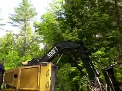 Pan left and tilt down on man standing on feller buncher, surveying the trees. Stock Footage