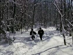 HD CRANE: Kids Winter Walk in Snowy Forest Stock Footage