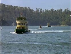 MS ferry boat sailing to camera, Sydney Harbour, Sydney, Australia Stock Footage