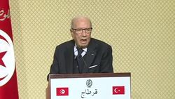 CLEAN : Tunisian President meets with Turkish counterpart News Clip