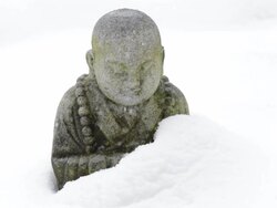 Buddha in snow Stock Footage
