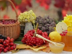 Still life: mountain ash, viburnum, lemon, herbs, tea, honey outdoors. Stock Footage