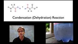 Polymers Instructional Video