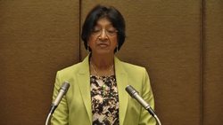 UN rights chief cites problems in Syria News Clip