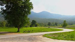 Motorcycle riding on the road Stock Footage