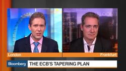 Decoding the ECB's Next Move News Clip