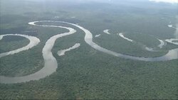 Former circus animals start new lives in reserve News Clip