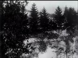 WESTERN FRONT - LA ROCHE & ST. VITH - News Clip