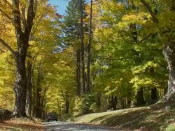 Dirt Road With Truck and Hickers Stock Footage