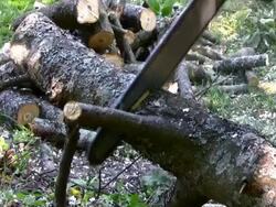 Working with chainsaw Stock Footage