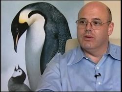 March of the Penguins News Clip