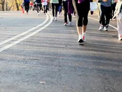 MS View of joggers in central park / New York, United States Stock Footage