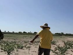 CU Shot of Man going to collect water from shafts in little city at Northeast / Pilao Arcado, Bahia, Brazil Stock Footage