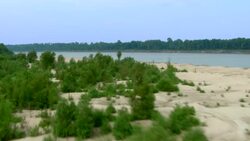 Trees and shrubs grow in the sand on the banks of the Mississippi River. Stock Footage
