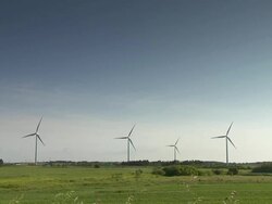 Aeolians in a field Stock Footage